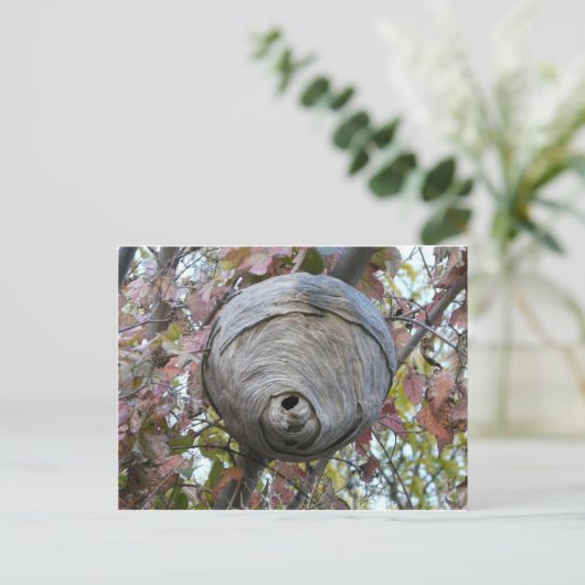 wasnest briefkaart (Staand voorkant)