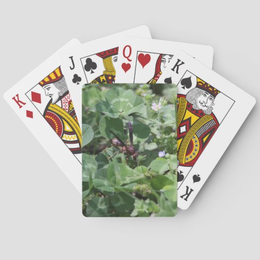Wasp-afspeelkaarten Pokerkaarten (Achterkant)