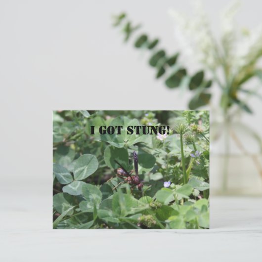 Wasp Briefkaart (Staand voorkant)