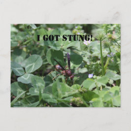 Wasp Briefkaart