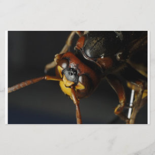 Wasp Briefpapier