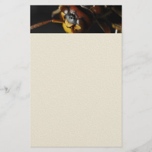 Wasp Briefpapier