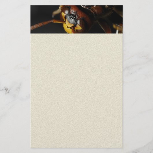 Wasp Briefpapier (Voorkant)
