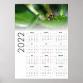 Wasp Calendar 2022 Poster - Maandag begin (Voorkant)