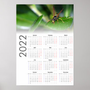 Wasp Calendar 2022 Poster - Maandag begin