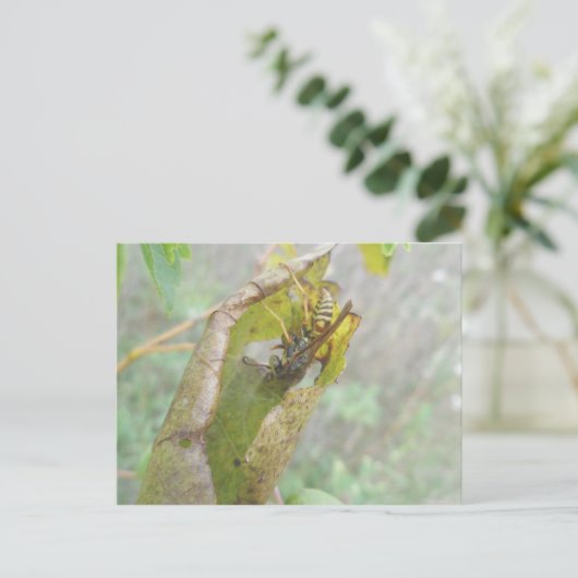 Wasp Checking Spider Web Briefkaart (Staand voorkant)