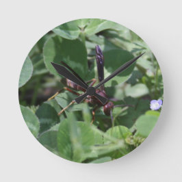 Wasp Clock Ronde Klok
