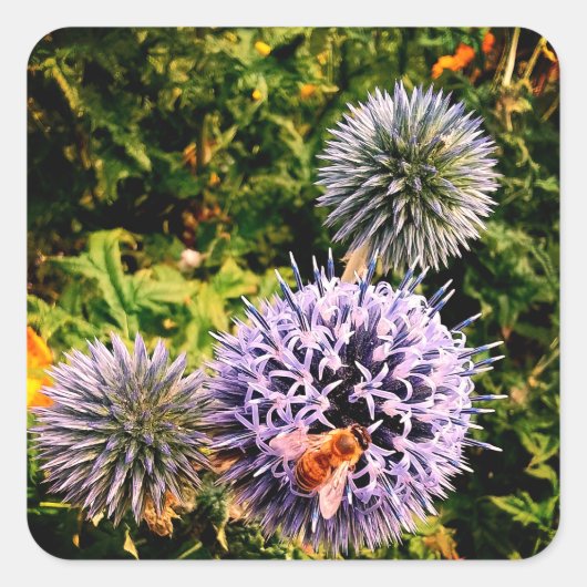Wasp, in blauwe bloemen vierkante sticker (Voorkant)