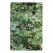 Wasp-klemborden Mini Klembord (Achterkant)