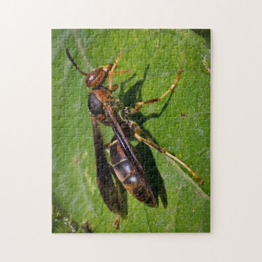 Wasp Legpuzzel (Verticaal)