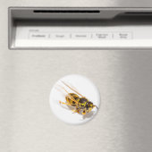 Wasp Magneet (Insitu (Vaatwasser))