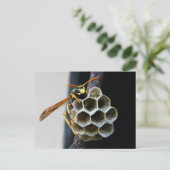 Wasp Nest en Worker Briefkaart (Staand voorkant)