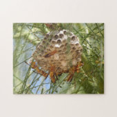 Wasp Nest Legpuzzel (Horizontaal)
