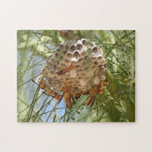 Wasp Nest Legpuzzel (Horizontaal)