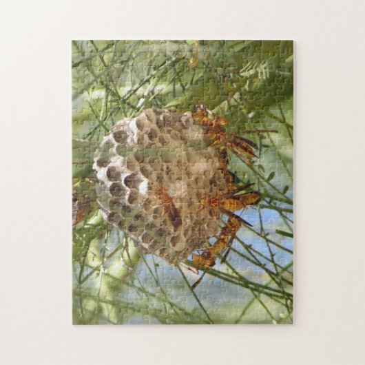 Wasp Nest Legpuzzel (Verticaal)