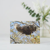 Wasp Nest. Yikes! Briefkaart (Staand voorkant)