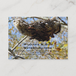 Wasp Nest. Yikes! Visitekaartje