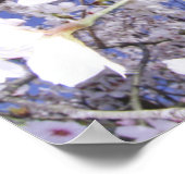 Wasp op Cherry Blossom, close-up Poster (Hoek)