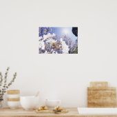 Wasp op Cherry Blossom, close-up Poster (Keuken)