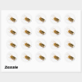 Wasp Ronde Sticker (Vel)