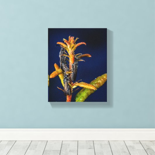 Wasps on Oak Canvas Afdruk (Insitu (Houten vloer))