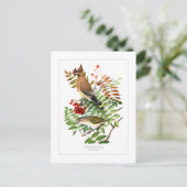 Wassen en Vireo Briefkaart (Staand voorkant)