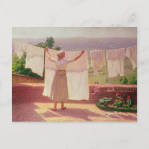 Wassen in de zon briefkaart