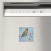 Wassen Magneet (Insitu (Vaatwasser))