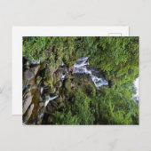 Wasserfall in Kerry, Ierland (Ring of Kerry) Briefkaart (Voorkant / Achterkant)