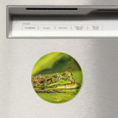 Wasserfrosch Magneet (Insitu (Vaatwasser))