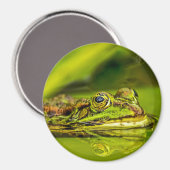 Wasserfrosch Magneet (Voorkant / Achterkant)