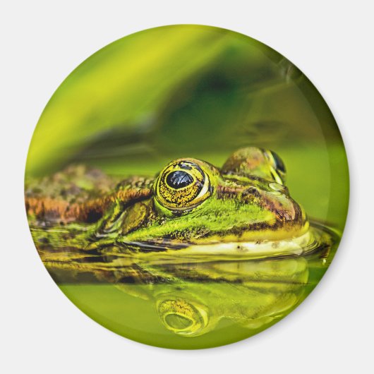 Wasserfrosch Magneet (Voorkant)