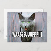 WASSUP - Kattenthema Briefkaart (Voorkant / Achterkant)