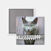 WASSUP - Kattenthema Magneet (Voorkant / Achterkant)