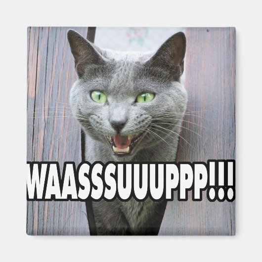 WASSUP - Kattenthema Magneet (Voorkant)