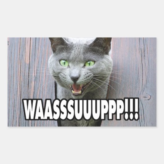 WASSUP - Kattenthema Rechthoekige Sticker (Voorkant)