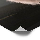 Wasteland Poster (Hoek)