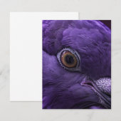 Wat als Heaven Paarse Dove Art was? Notitiekaartje (Voorkant / Achterkant)