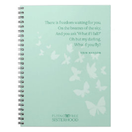 Wat als ik vlieg? Notitieboek