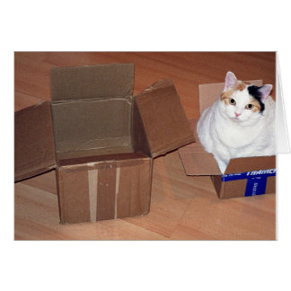 Wat bedoel je dat ik een grotere maat nodig heb?