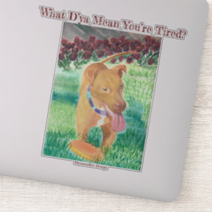 Wat bedoel je, je bent moe? Sticker