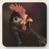 Wat Bier Onderzetter (Voorkant)