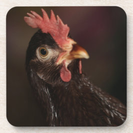 Wat Bier Onderzetter