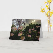 wat bloeit er in de schaduwkaart kaart (Gele Bloem)