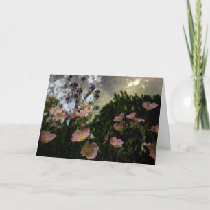 wat bloeit er in de schaduwkaart kaart