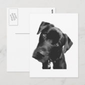 Wat? Briefkaart (Voorkant / Achterkant)