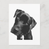 Wat? Briefkaart (Voorkant)