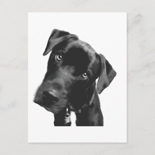 Wat? Briefkaart (Voorkant)