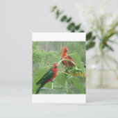 Wat? Briefkaart (Staand voorkant)