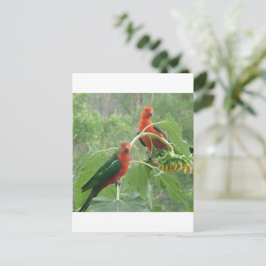 Wat? Briefkaart (Staand voorkant)